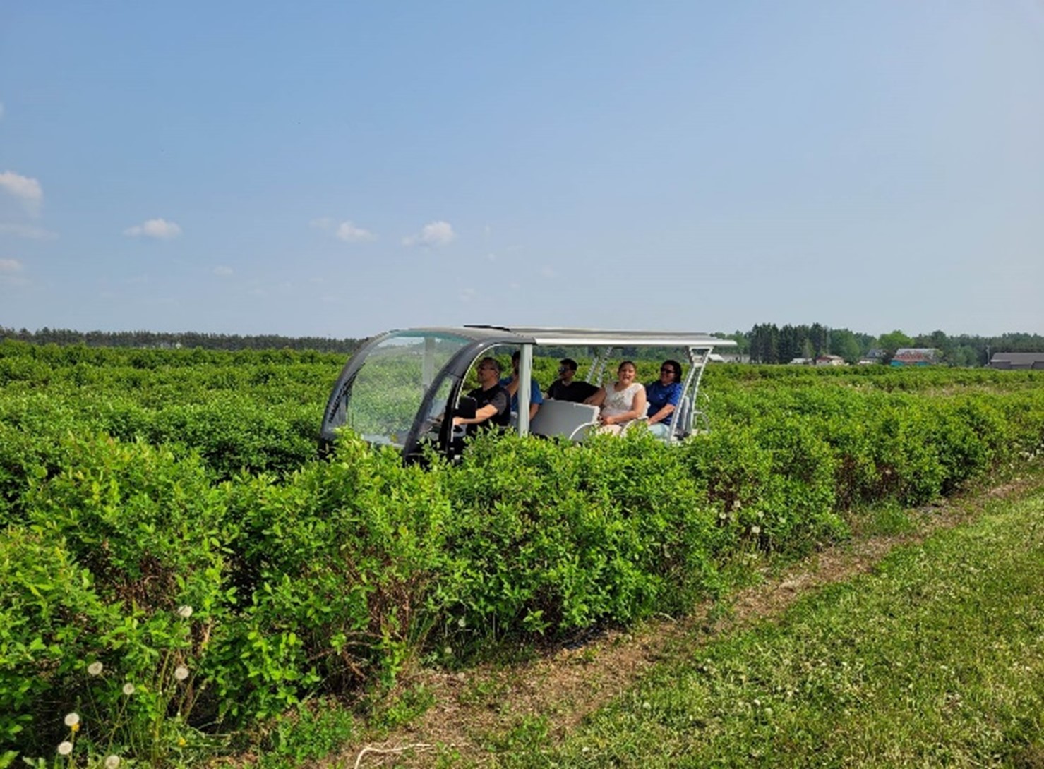  Cinq personnes sont à bord d’un véhicule adapté pour visiter un champ de camerises.